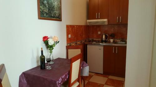 Apartments Rino Lux