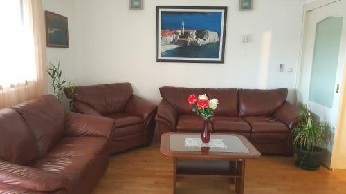 Apartments Rino Lux
