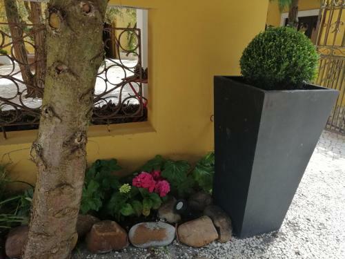 Hostal Casa de Campo Colmeal