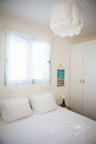 Lodge Olive - Israeli Zimmer