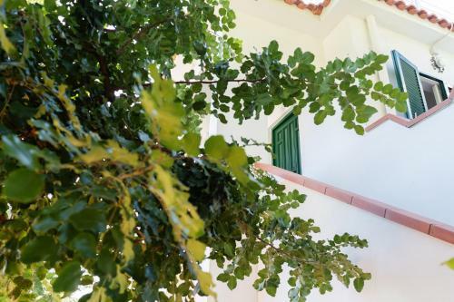 Villa Gea