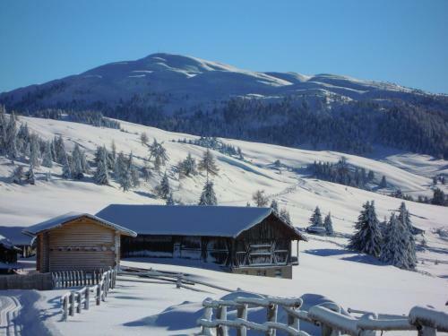 Hotel Roner Alm