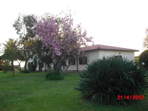 Apartamento Appartamenti Podere 13