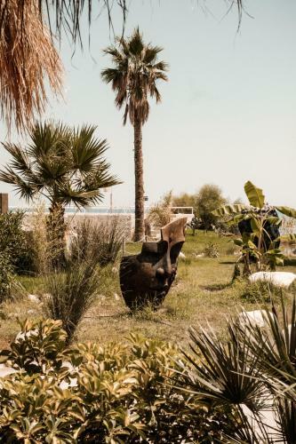 Hotel Riva Del Sol Beach Resort