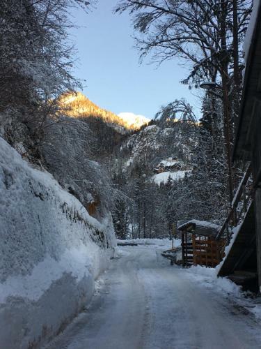 Apartamento Civetta