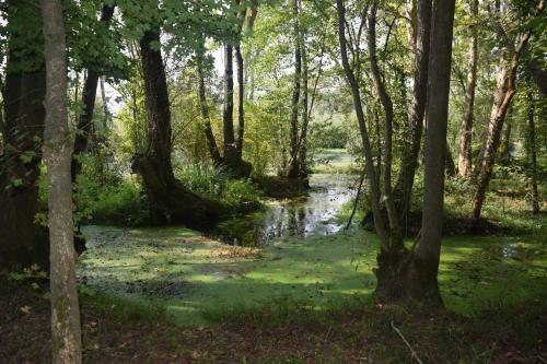 Agroturismo Da Gastone