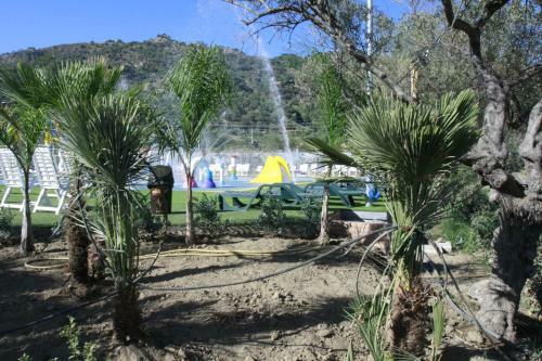 Glamping Alcantara