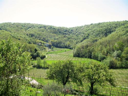 Locazione Turistica Casa Dei Fiori - Cpp400