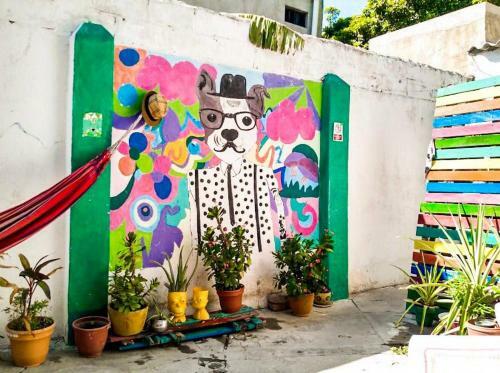 Hostal Mango Bed And Breakfast