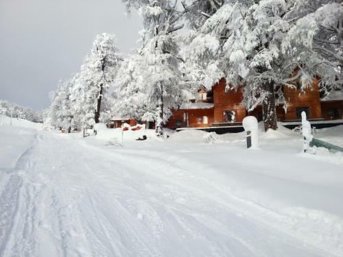 Lodge Caba�as Pista Uno Ski Village