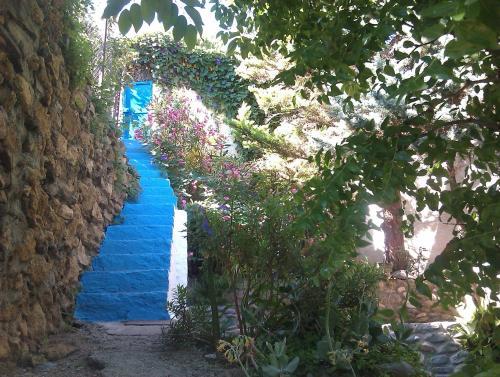 Hostal Casa Jazmin