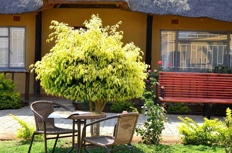 Thulamela Guest House