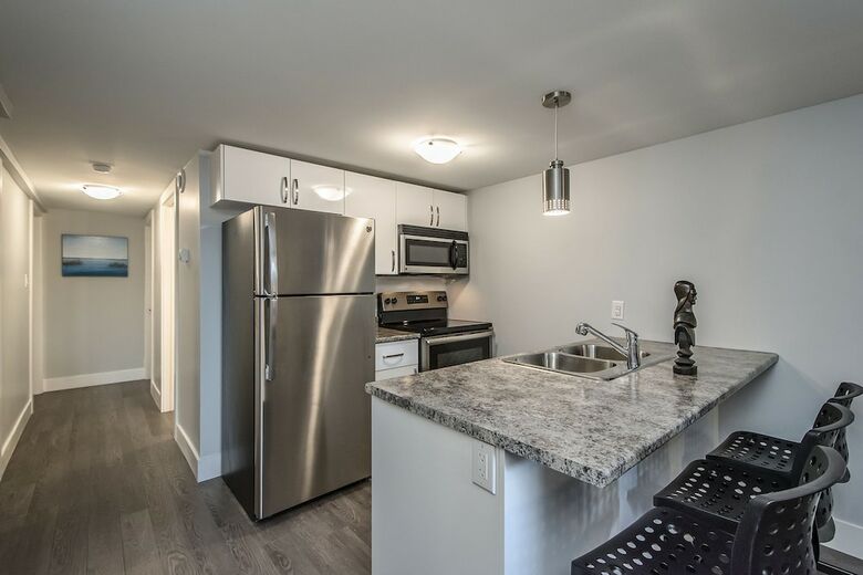 Spacious Dal & Downtown Apartments