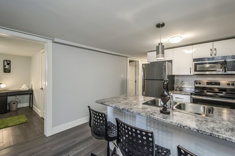 Spacious Dal & Downtown Apartments
