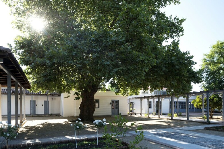 Hotel Noi Blend Colchagua