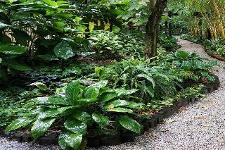Hotel Jacana Amazon Wellness Resort