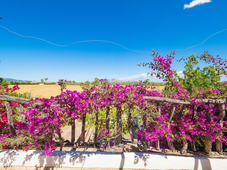 Apartamentos Can Cap de Bou By Alquilair