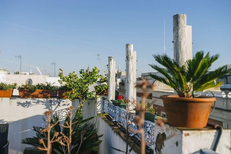 Apartamentos Eva Recommends Alberto Lista �tico