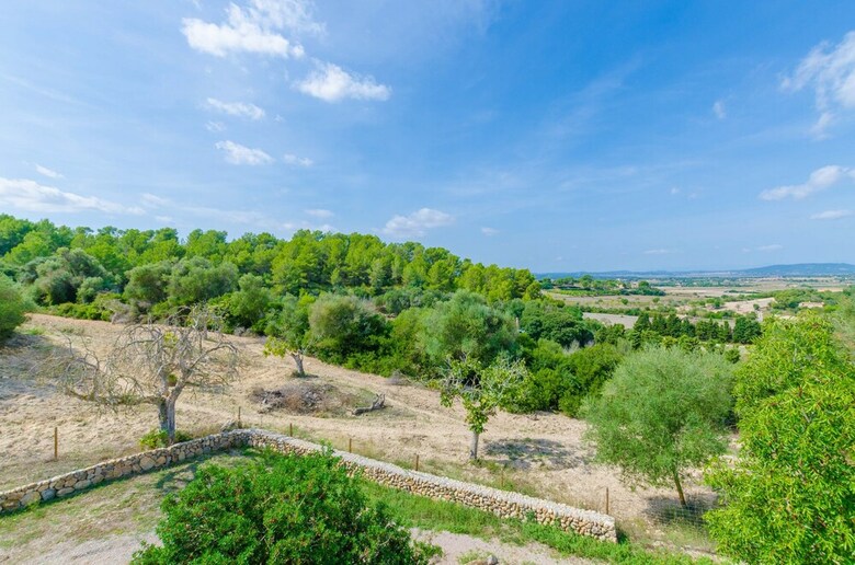 Villa Son Vell