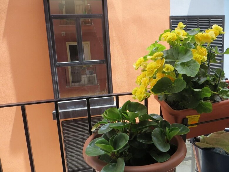 Apartamentos Malaga City Center2