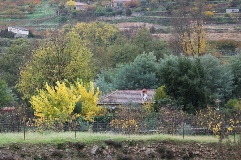 Casa Rural de Agroturismo El Vallejo