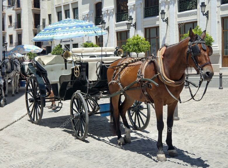Cathedral Suites Apartamento