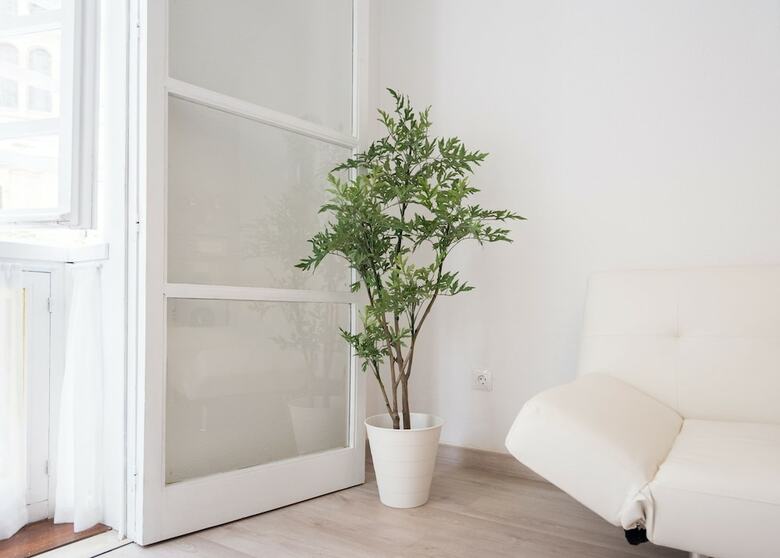 Cathedral Suites Apartamento