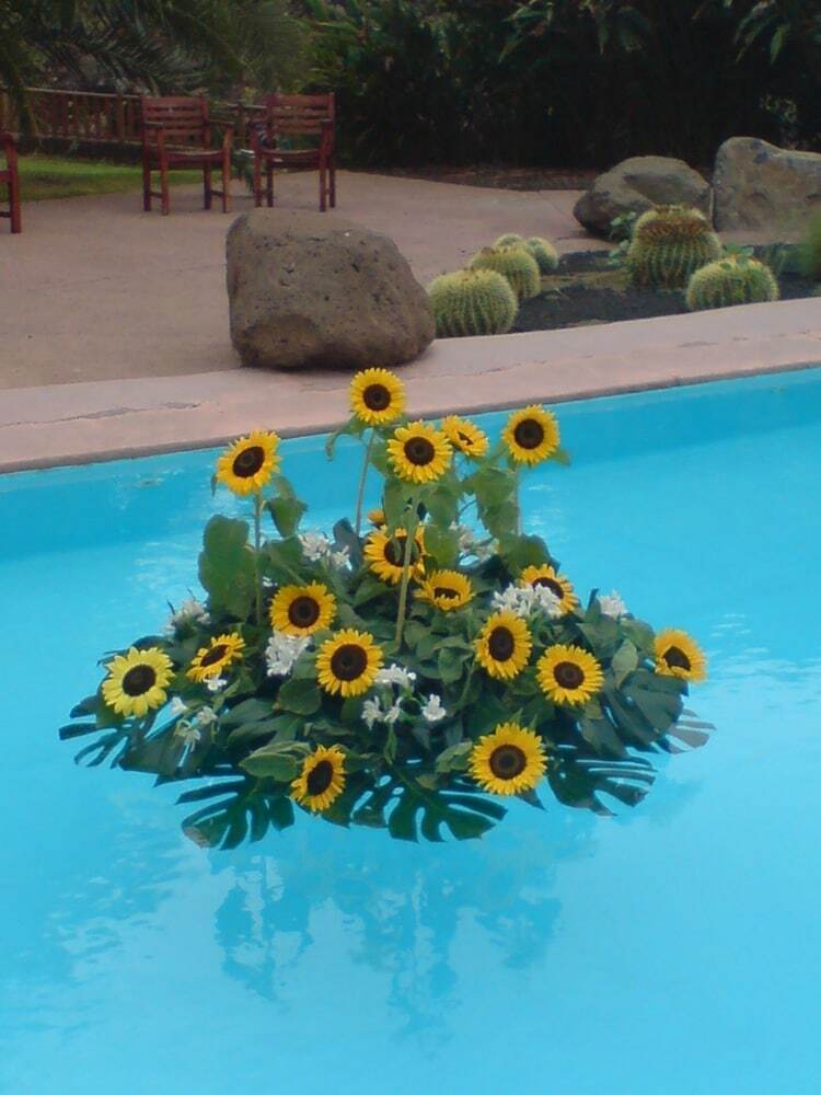 Hotel La Hacienda de Anzo