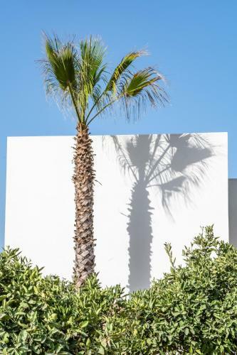 Hotel Can Jaume