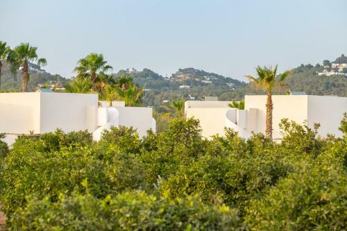 Hotel Can Jaume