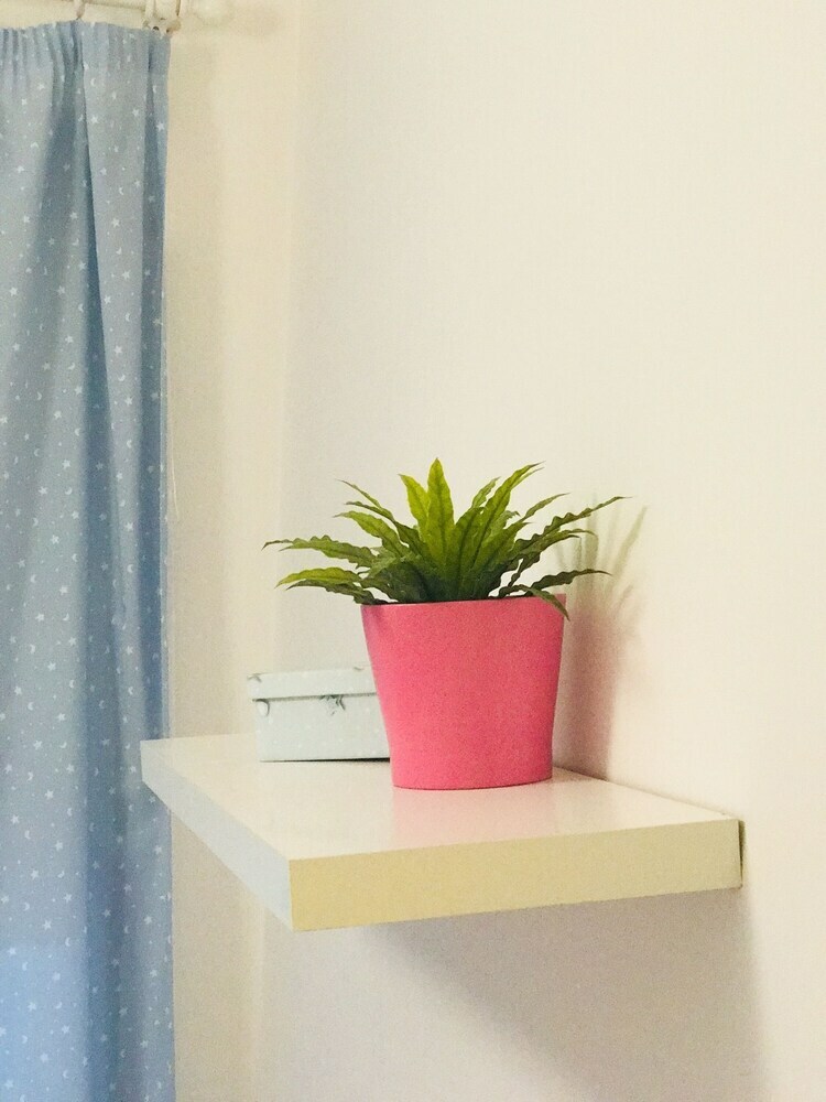 Apartamentos Luxury San Basilio Patios