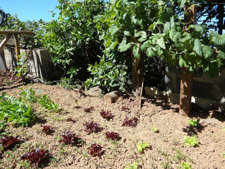 Finca �ngeles