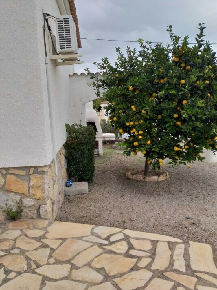 Apartamentos Casa Palmeras IV