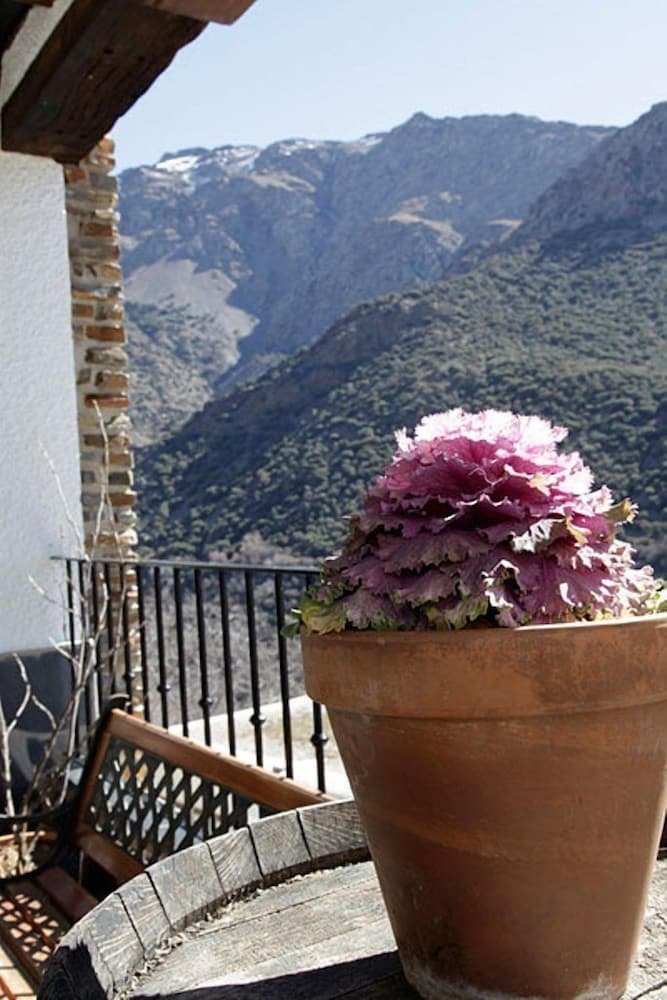 Hotel La Fragua II