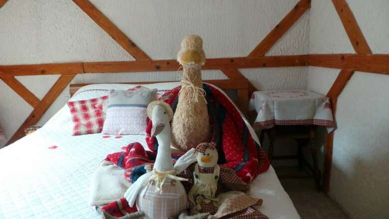 Posada Auberge de La Canardi�re