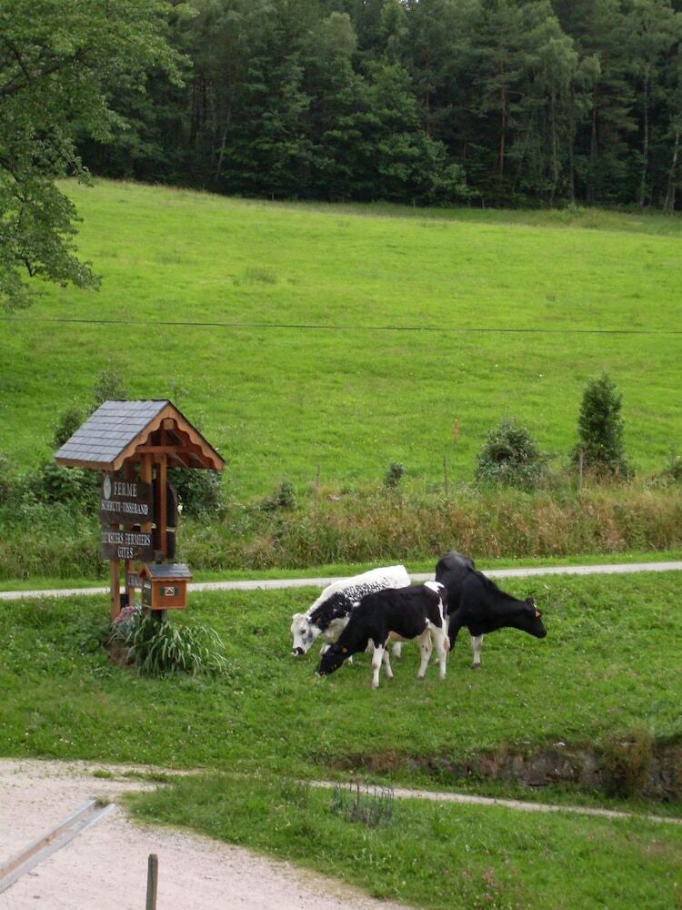 Ferme Schrutt-tisserand