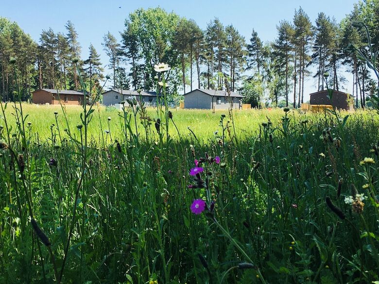 Hollicarrs - Honeycomb Lodge