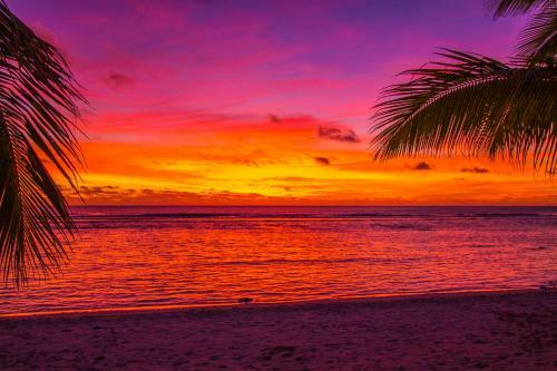 Hotel Magic Reef Bungalows