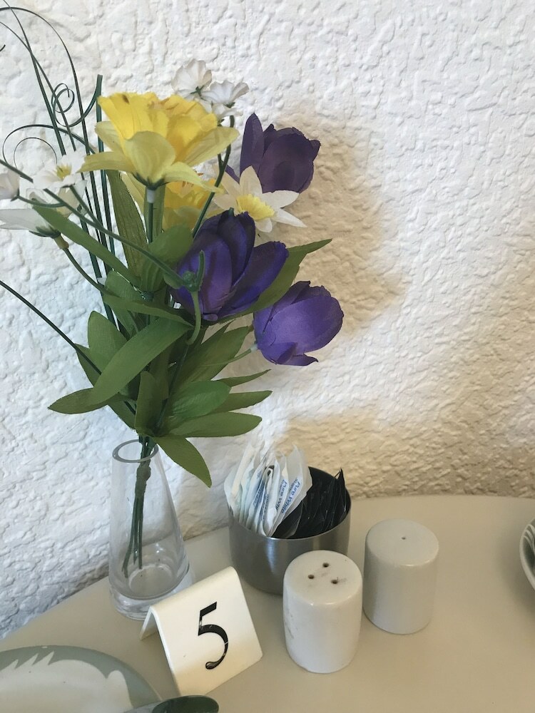 Bed & Breakfast Kingsbury Hotel