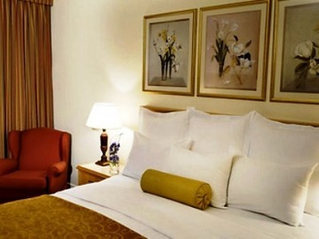 Hotel Airport Marriott