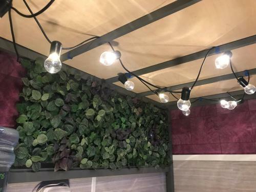 Hostal New Garden Hostel