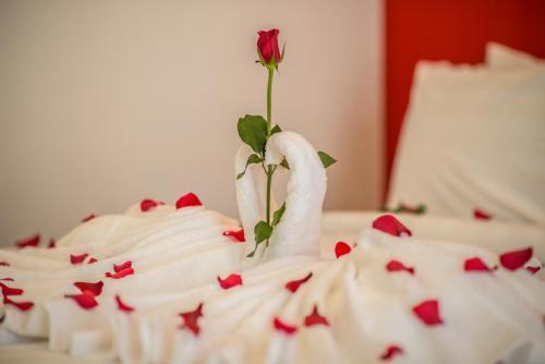 Hotel White Villa Boutique