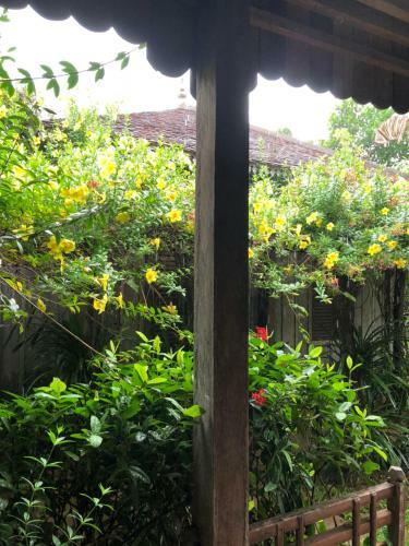 Hotel Angkor Rural Boutique