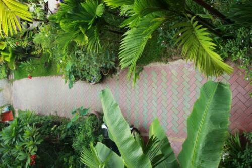 Bed & Breakfast Jasmine Family Hostel