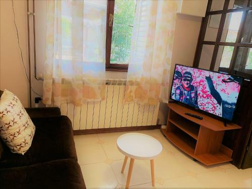 Apartments Villa Mihaela