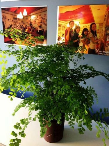 Journey House Youth Hostel