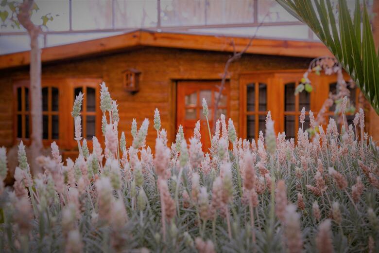 Don Pepe Hotel Y Caba�as