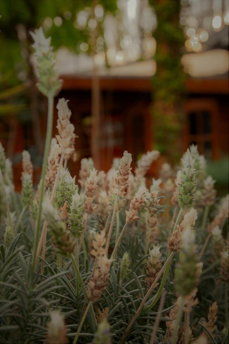 Don Pepe Hotel Y Caba�as