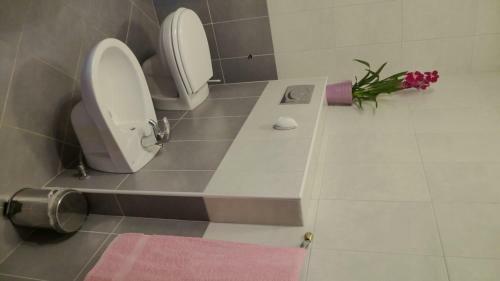 Apartments Libera