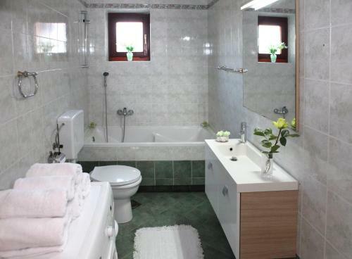 Apartments Villa Herak